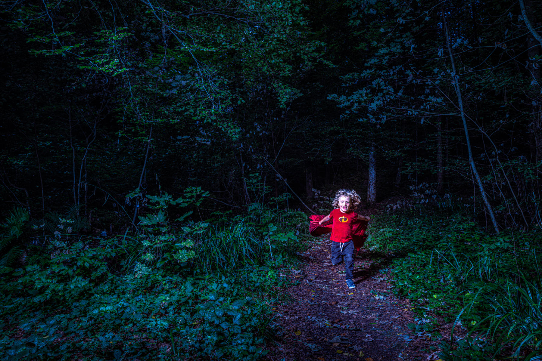 Into the Woods at Night, #4