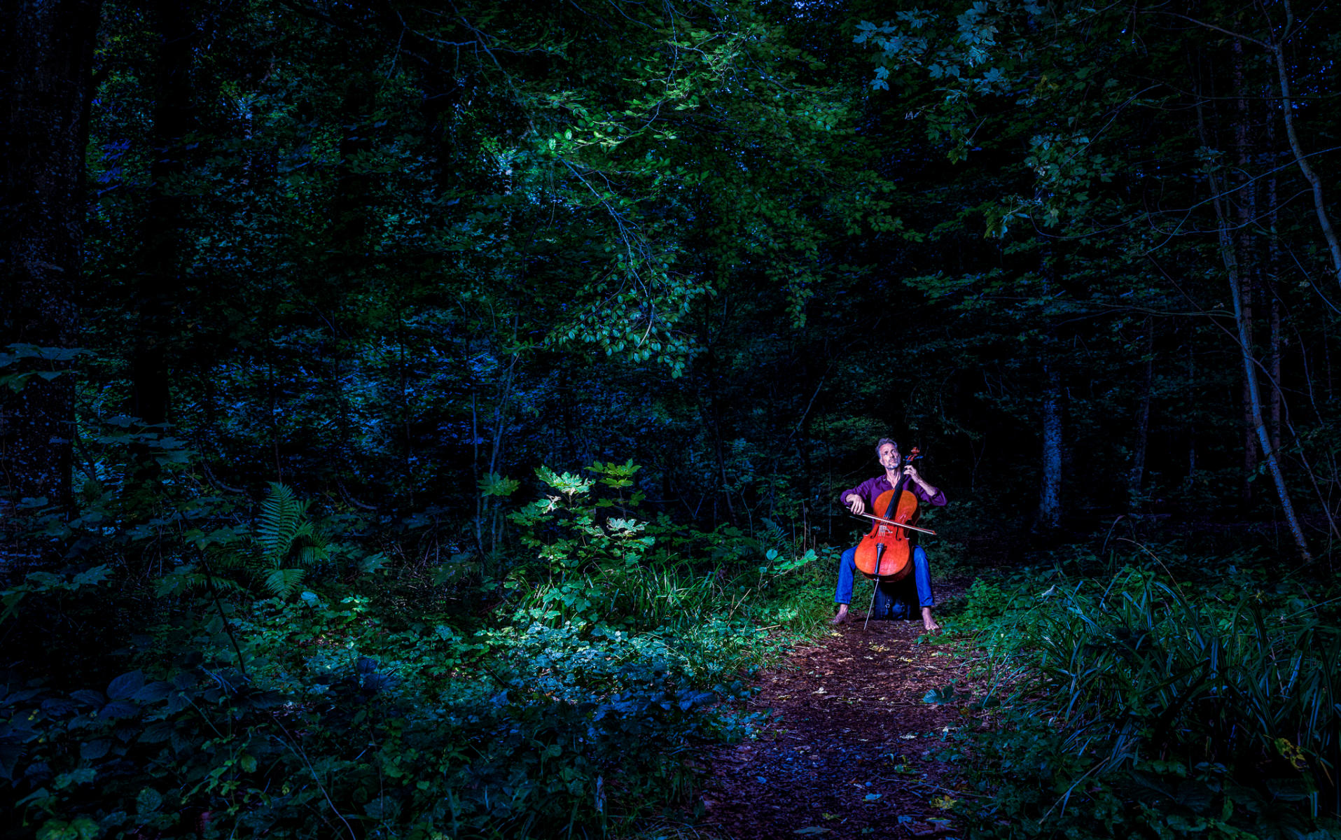 Into the Woods at Night #1