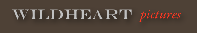 WILDHEART PICTURES